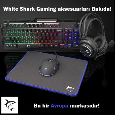 White Shark Gaming Baku