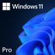Microsoft Windows 11 Professional 64 Bit ENG Intl 1PK DSP OEI